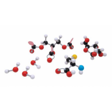 Organic Student Set (111 atoms)